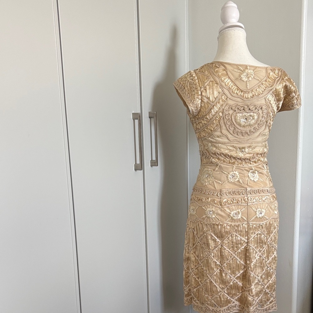 Sue Wong Beige Lace Mini Dress - Picture 5 of 11